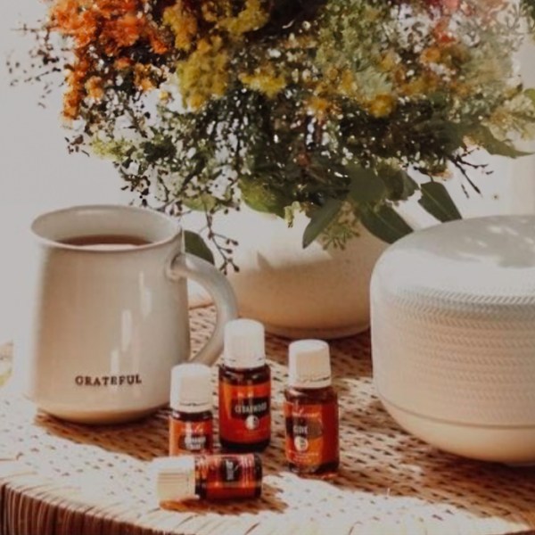 Winter Wellness Guide